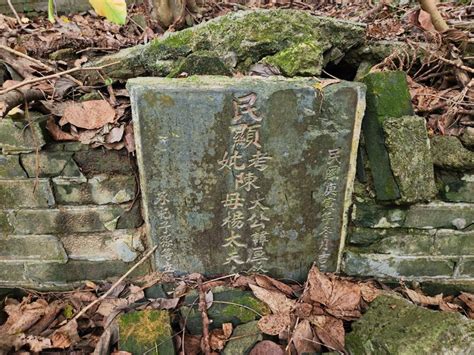 烏鴉落陽風水|風水：《香港風水搜秘》 (3)香港九龍新界地脈行龍分述─九龍黃。